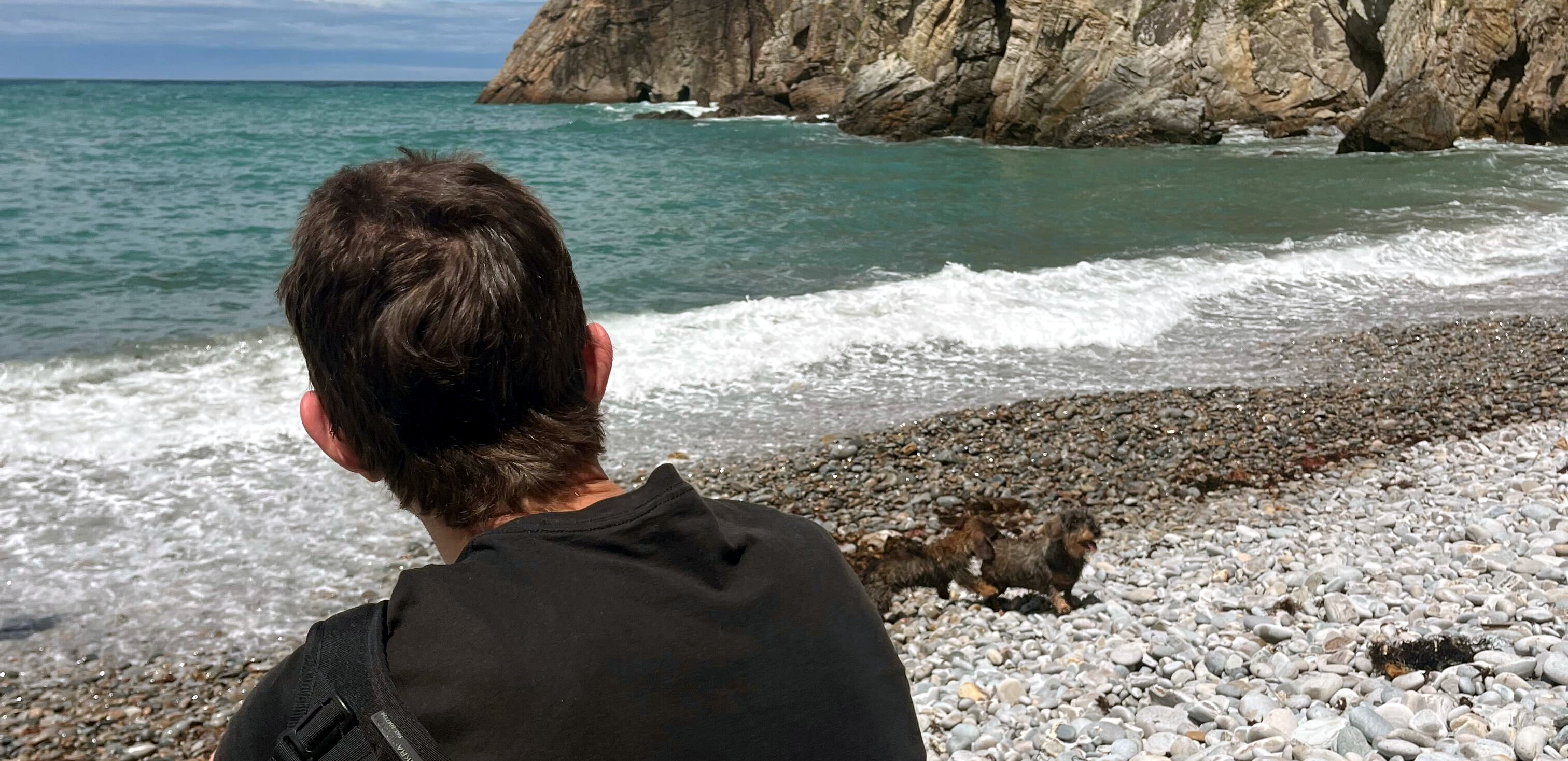 image from Media Highlights for 2025